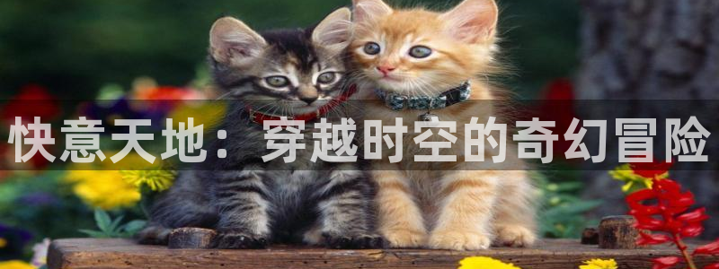 西瓜影院午夜片